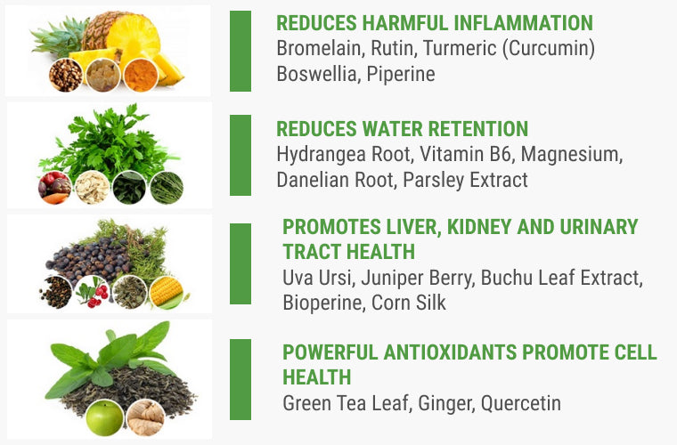 REDUCES HARMFUL INFLAMMATION Bromelain, Rutin, Turmeric (Curcumin) Boswellia, Piperine  REDUCES WATER RETENTION Hydrangea Root, Vitamin B6, Magnesium, Danelian Root, Parsley Extract  PROMOTES LIVER, KIDNEY AND URINARY TRACT HEALTH Uva Ursi, Juniper Berry,